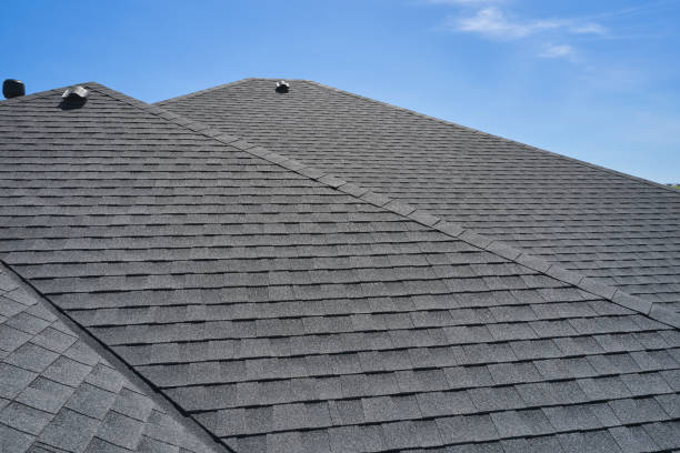 Best Roof Coating and Sealing  in Lakewood, NY